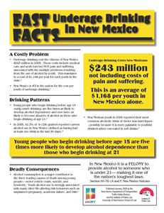 Picture of Fast Facts Underage Drinking in New Mexico - Downloaded Item