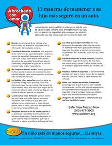 Picture of 11 Ways to Keep Your Child Safer in the Car - Downloaded Item - Spanish
