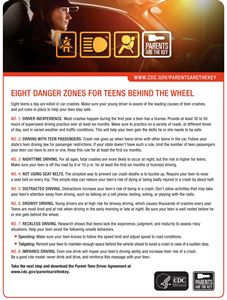 Picture of Eight Danger Zones for Teens Behind the Wheel - Downloaded Item