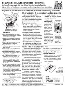 Picture of Car Safety for Tiny Babies - Downloaded Item - Spanish