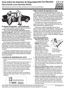Picture of Grandparents' Guide to Car Seats - Downloaded Item - Spanish