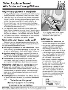 Picture of Safer Airplane Travel with Babies and Young Children - Downloaded Item - English