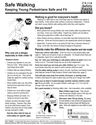 Picture of Safe Walking: Keeping Young Pedestrians Safe and Fit - Downloaded Item - English