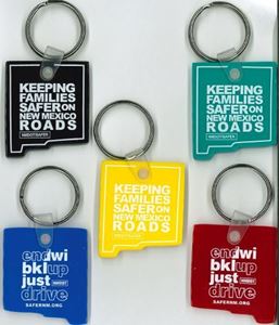 Picture of ENDWI Keychains (Promotion)